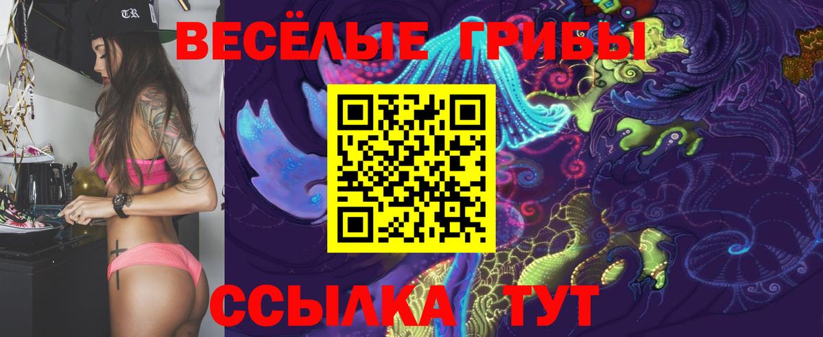 Псилоцибиновые грибы Cubensis Комсомольск-на-Амуре