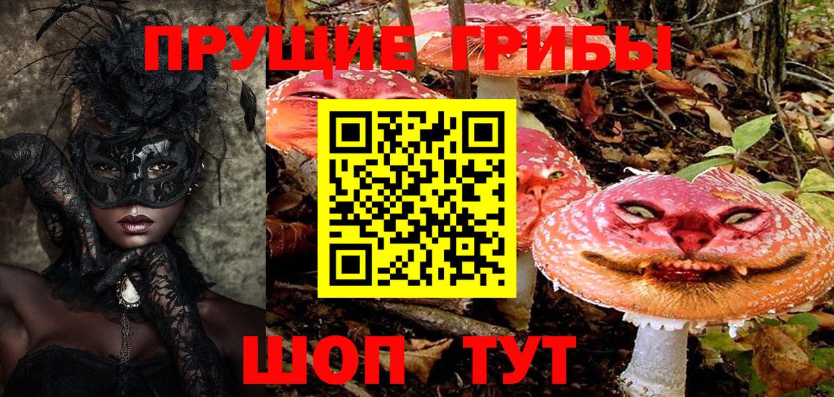 Псилоцибиновые грибы Psilocybe  Псилоцибиновые грибы ЛСД  Комсомольск-на-Амуре  Вход с VPN 